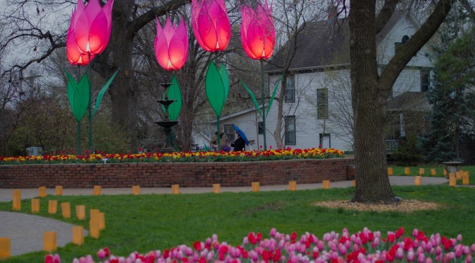 Tulip Time 2018